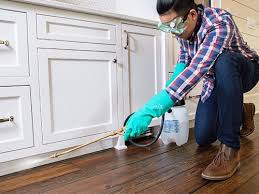 Best Pest Prevention Services  in Jefferson Valley Yorktown, NY